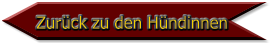 Zurück zu den Hündinnen