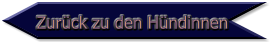 Zurück zu den Hündinnen
