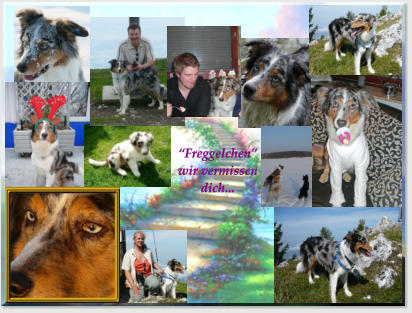 An dieser Stelle möchten Wir uns bei dem gesamten Team der  Kleintierpraxis Dr. Heribert Mertens  für ihren engagierten Einsatz um das  Leben von Genesis zu retten  bedanken. Ein ganz besonderer Dank geht dabei an Tierärztin Nadja Plum die selbst an  Allerheiligen für den kleinen Mann  und uns ständig da war.    “Freggelchen” wir vermissen dich...